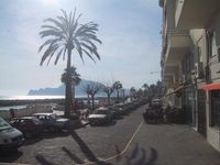 altea_palme_strandpromenade